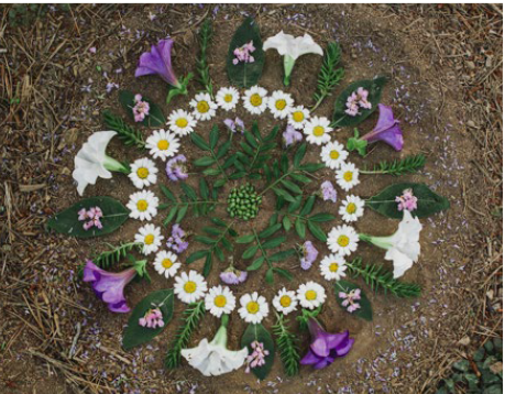 Composición circular con flores y hojas